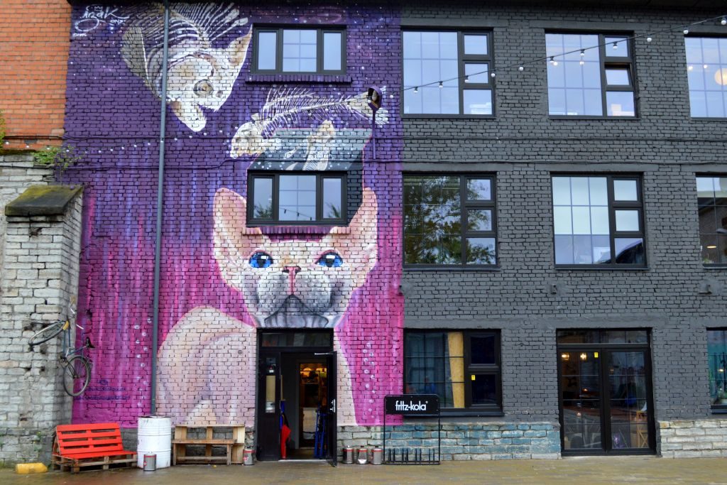 riga of tallinn - creative city