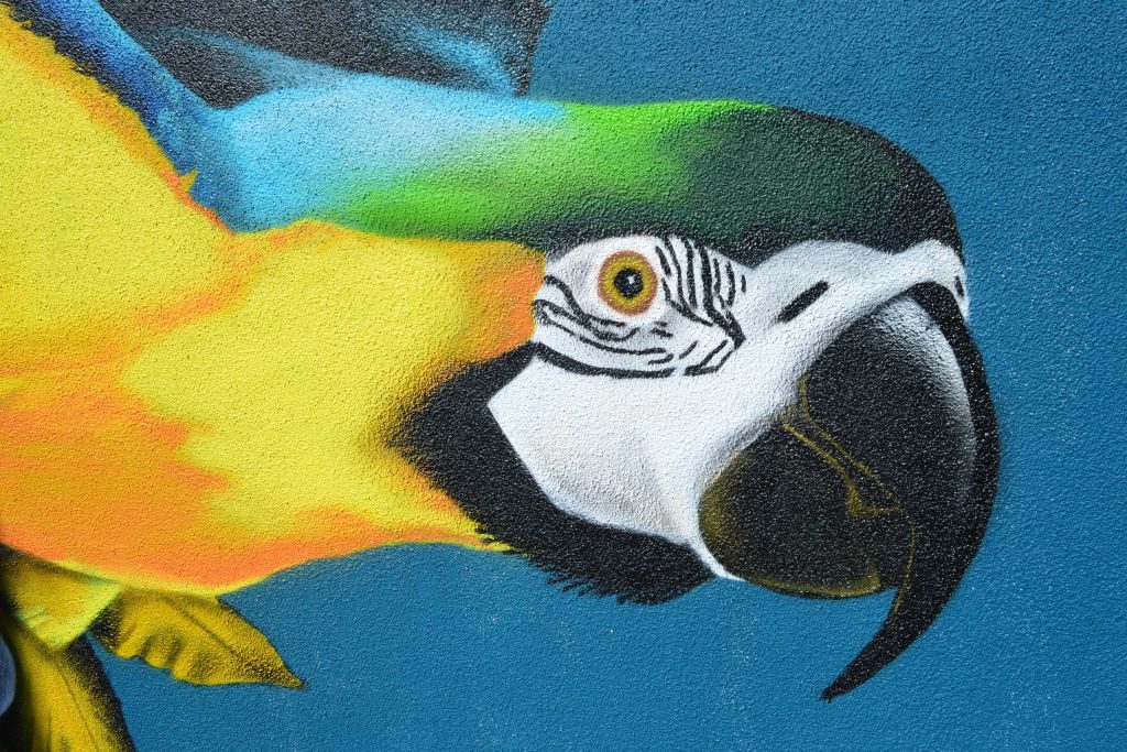 streetart ede keesomtunnel