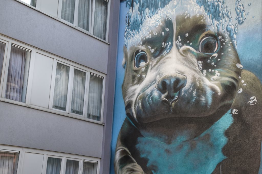 onderwaterhond muurschildering mechelen