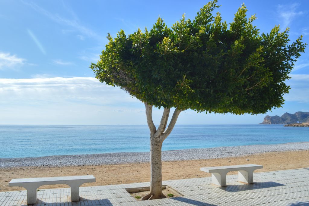 Mooiste plekjes Costa Blanca - Altea