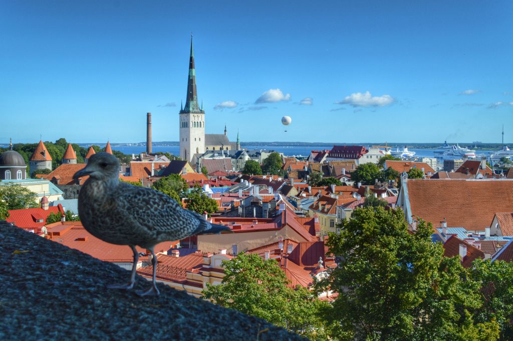 uitzicht Tallinn