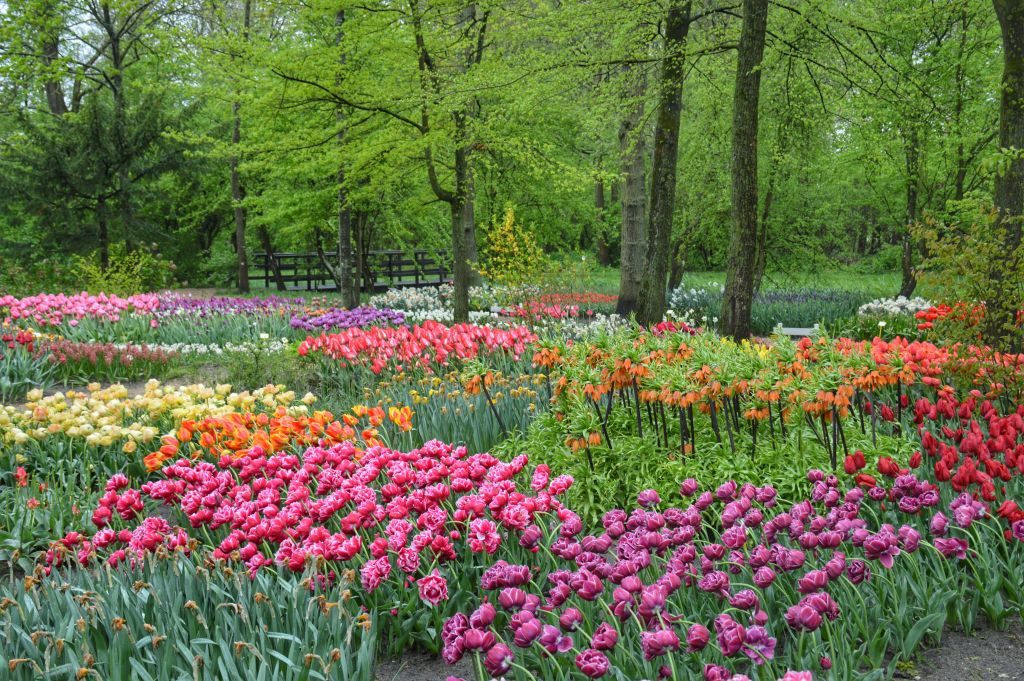 Poldertuin Anna Paulowna