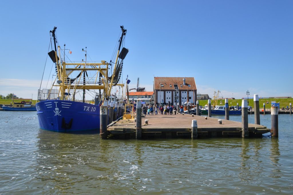Haven Oudeschild