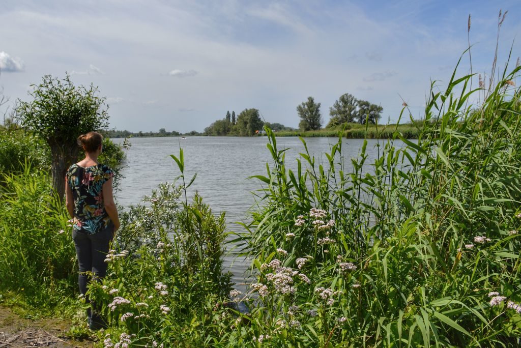 Buitenmuseum Pannekoek - De Biesbosch