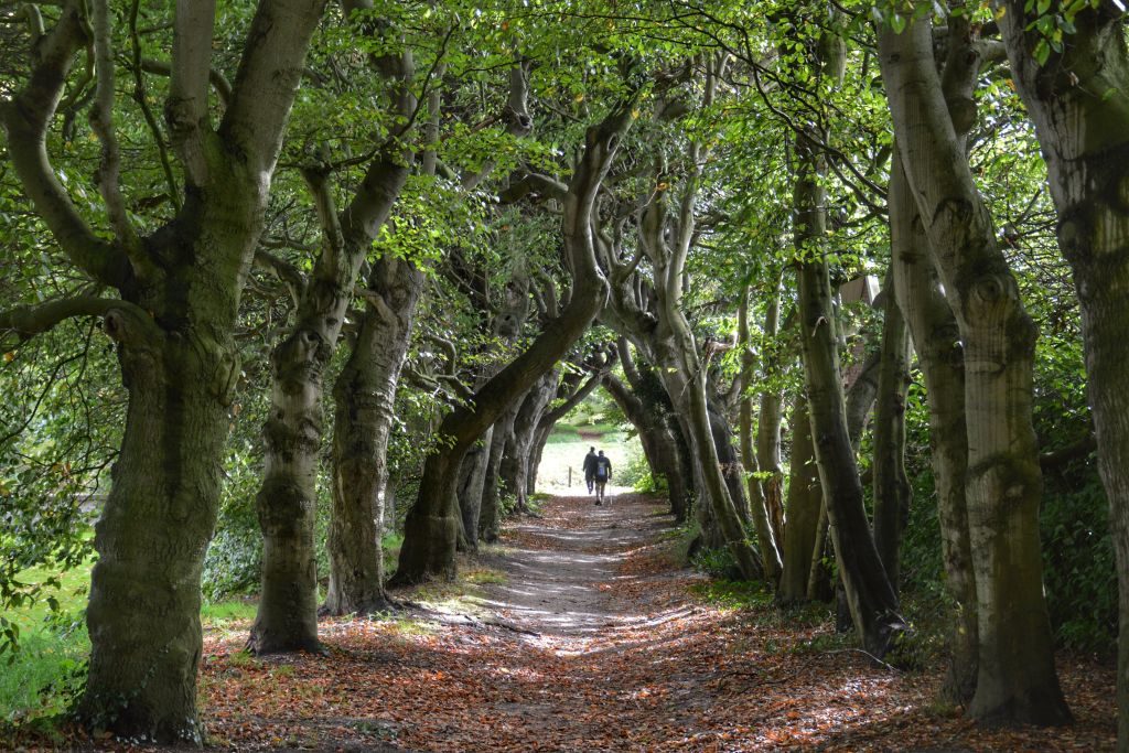 Kasteeltuinen Amerongen