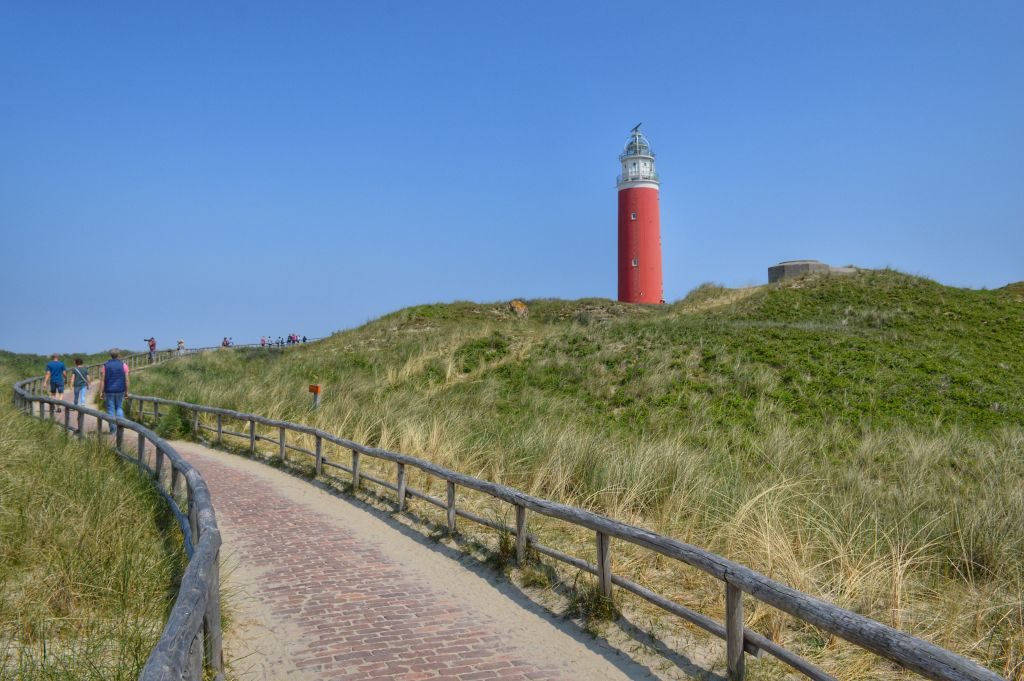 Texel