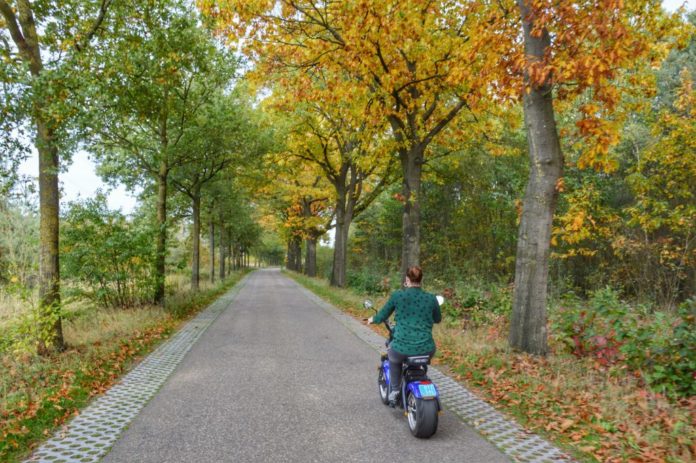 e-chopper limburg (13)