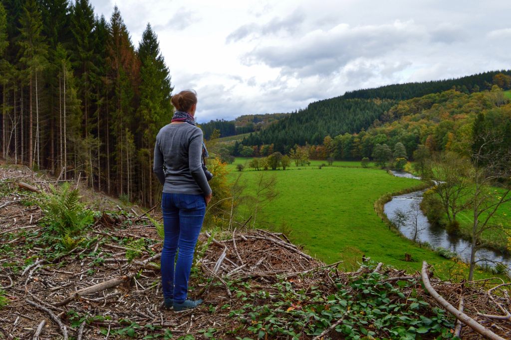 de Ardennen