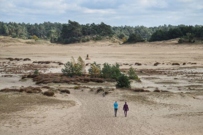 Wandelroutes Veluwe