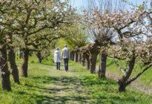 mooie wandelroutes voorjaar