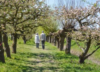 mooie wandelroutes voorjaar