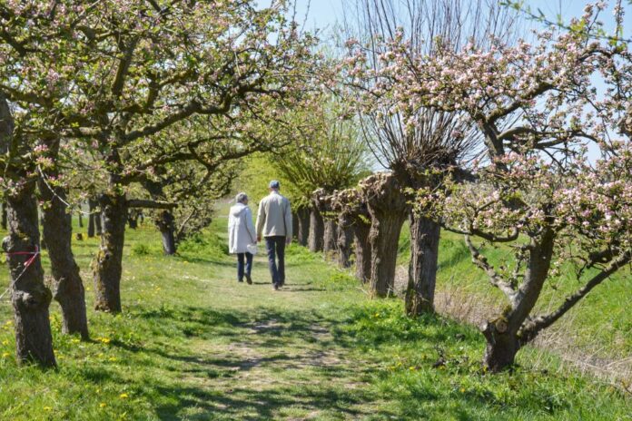 mooie wandelroutes voorjaar (1) mooie wandelroutes voorjaar