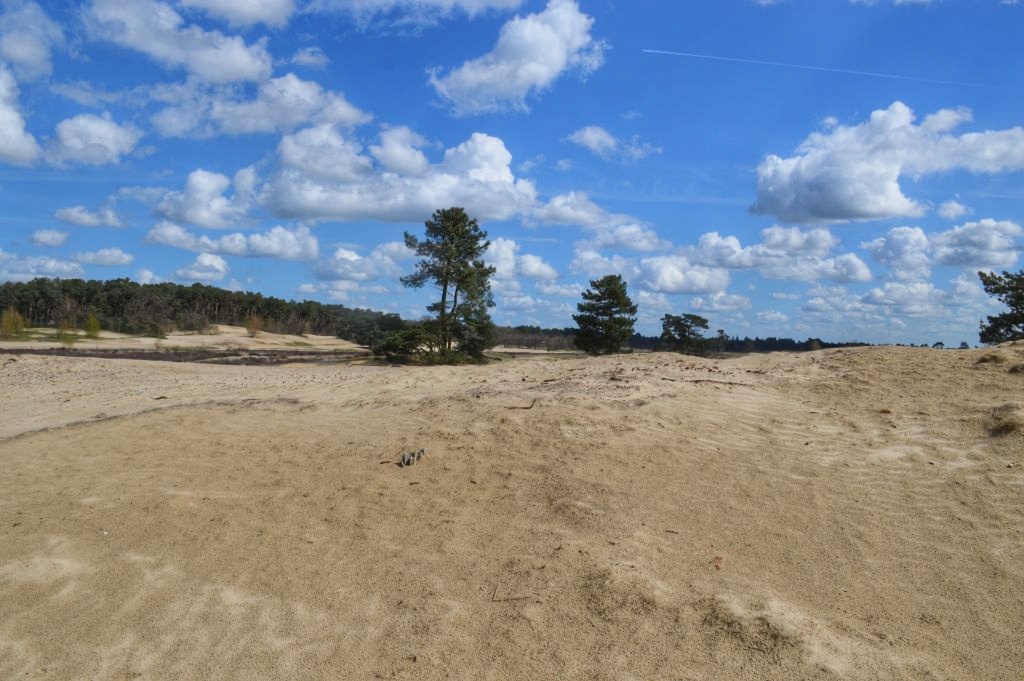Leuke uitjes Brabant - Loonse en Drunense Duinen