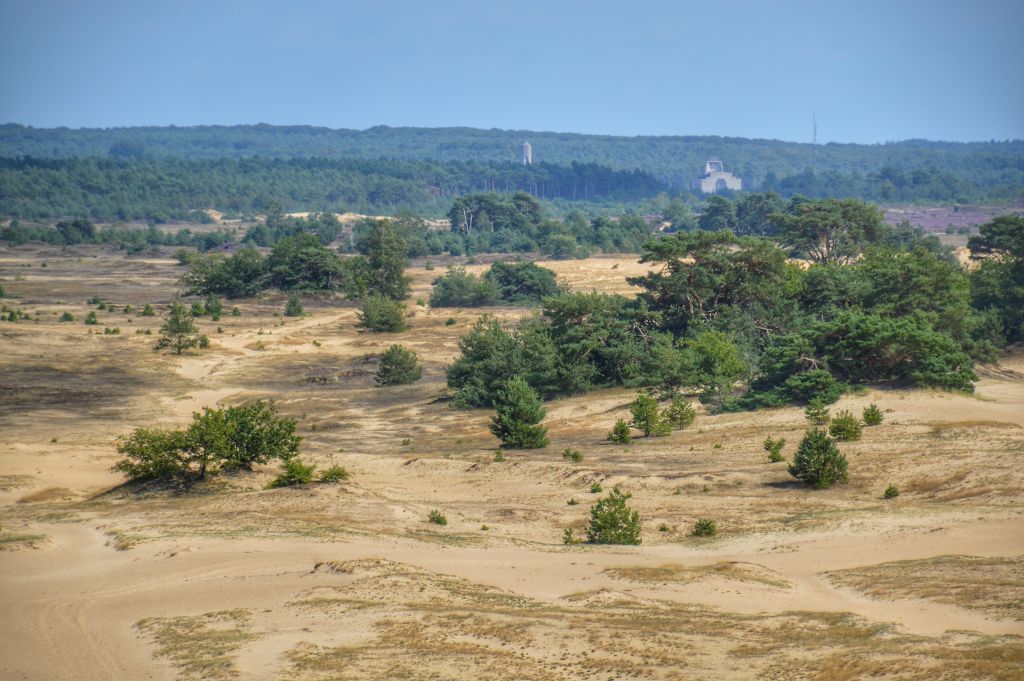 Kootwijkerzand