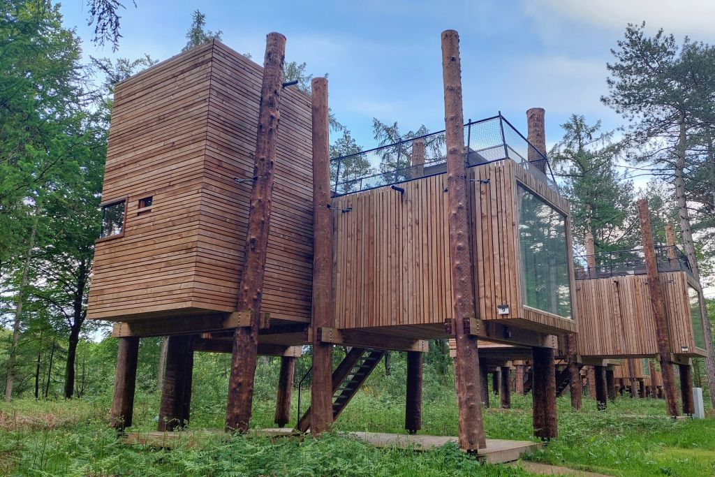 Forest Resort Your Nature Belgie