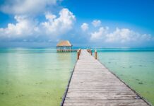 Mexico winterzon