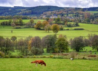 roadtrip ardennen
