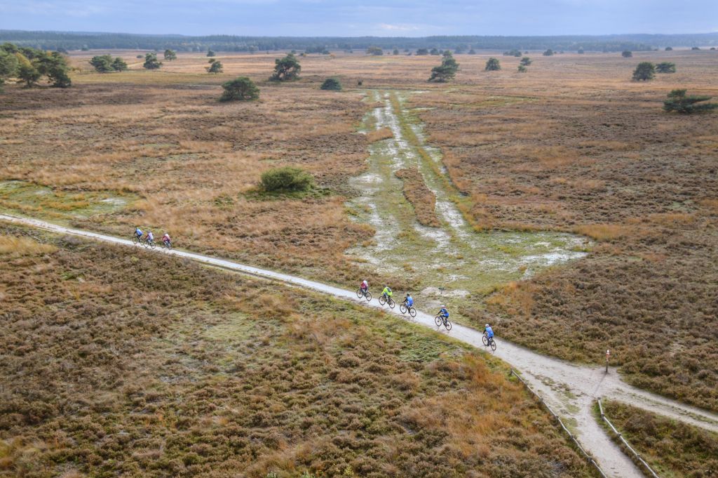 Veluwe