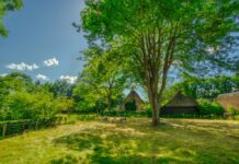 vakantieparken Drenthe
