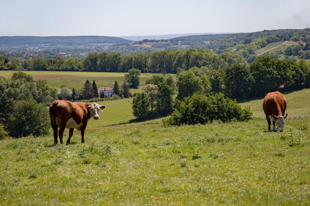 Heuvelland Zuid-Limburg