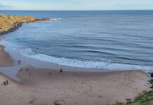 tips Tynemouth Engeland