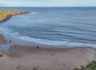 tips Tynemouth Engeland