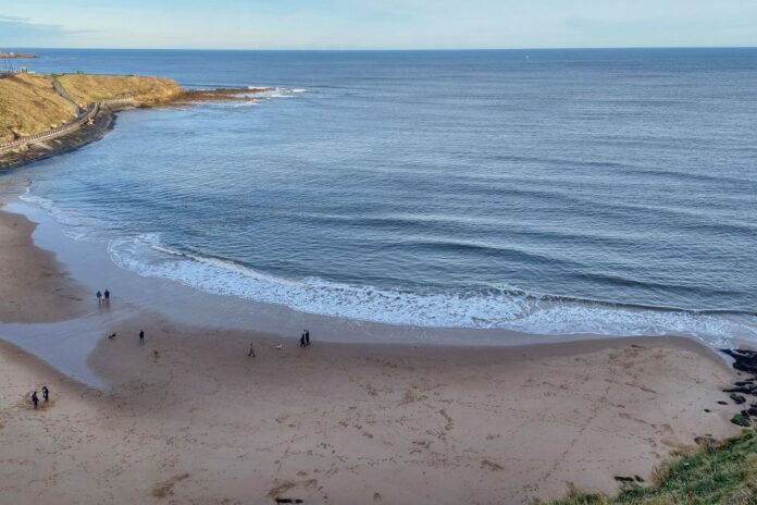 tips Tynemouth Engeland