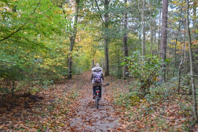 Fietsen Veluwe