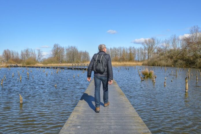 Wandelen over vlonderpad