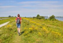 Zo voorkom je pijn aan je voeten tijdens het wandelen: 8 tips zere voeten wandelen