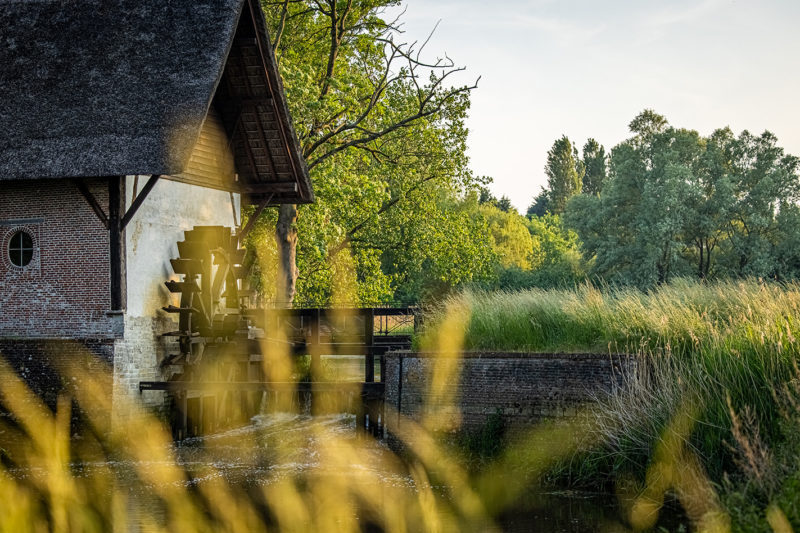 Laermolen Hoogstraten