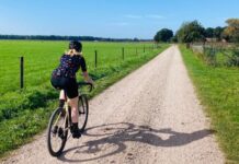 Heerlijk wandelen en fietsen in en rond Hoogstraten: 6 originele routes