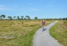 Een weekendje weg met een e-bike: zo plan je ontspannen tochtjes weekendje e-bike