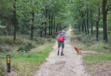 Op pad met het nieuwe wandelnetwerk op de Utrechtse Heuvelrug